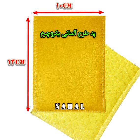 پدفیزیوتراپی (طرح آلمانی)