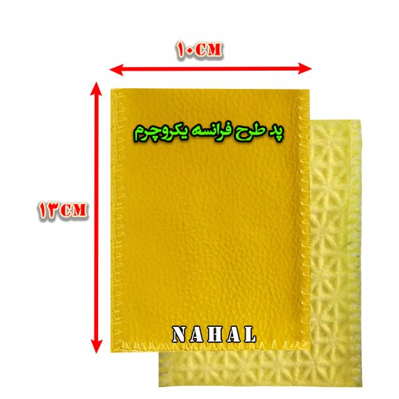 پدفیزیوتراپی(طرح فرانسه)