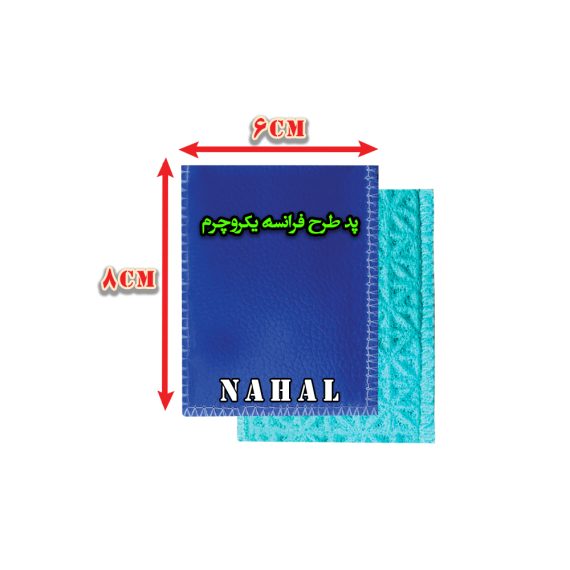 پدفیزیوتراپی(طرح فرانسه)